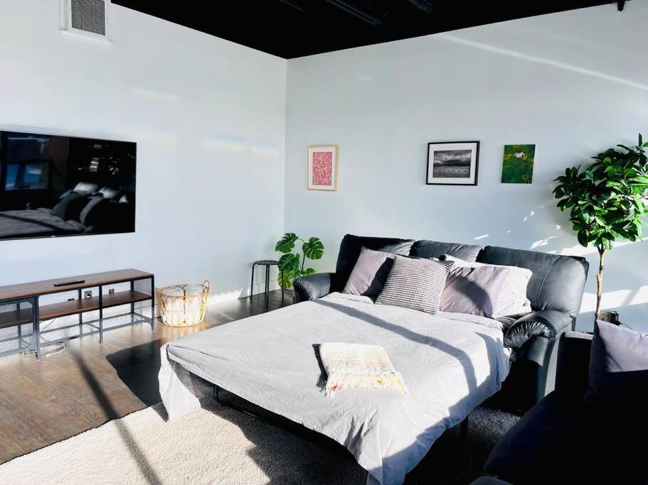 Sunny Penthouse On 17Th Ave, 1 Bedroom, 1 Loft Bed With Ladder, 1 Sofa Bed, Sleeps 6, Downtown Калгари Экстерьер фото